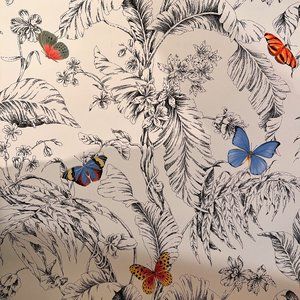 Papillon Wallpaper by York Wallcoverings in Black & White